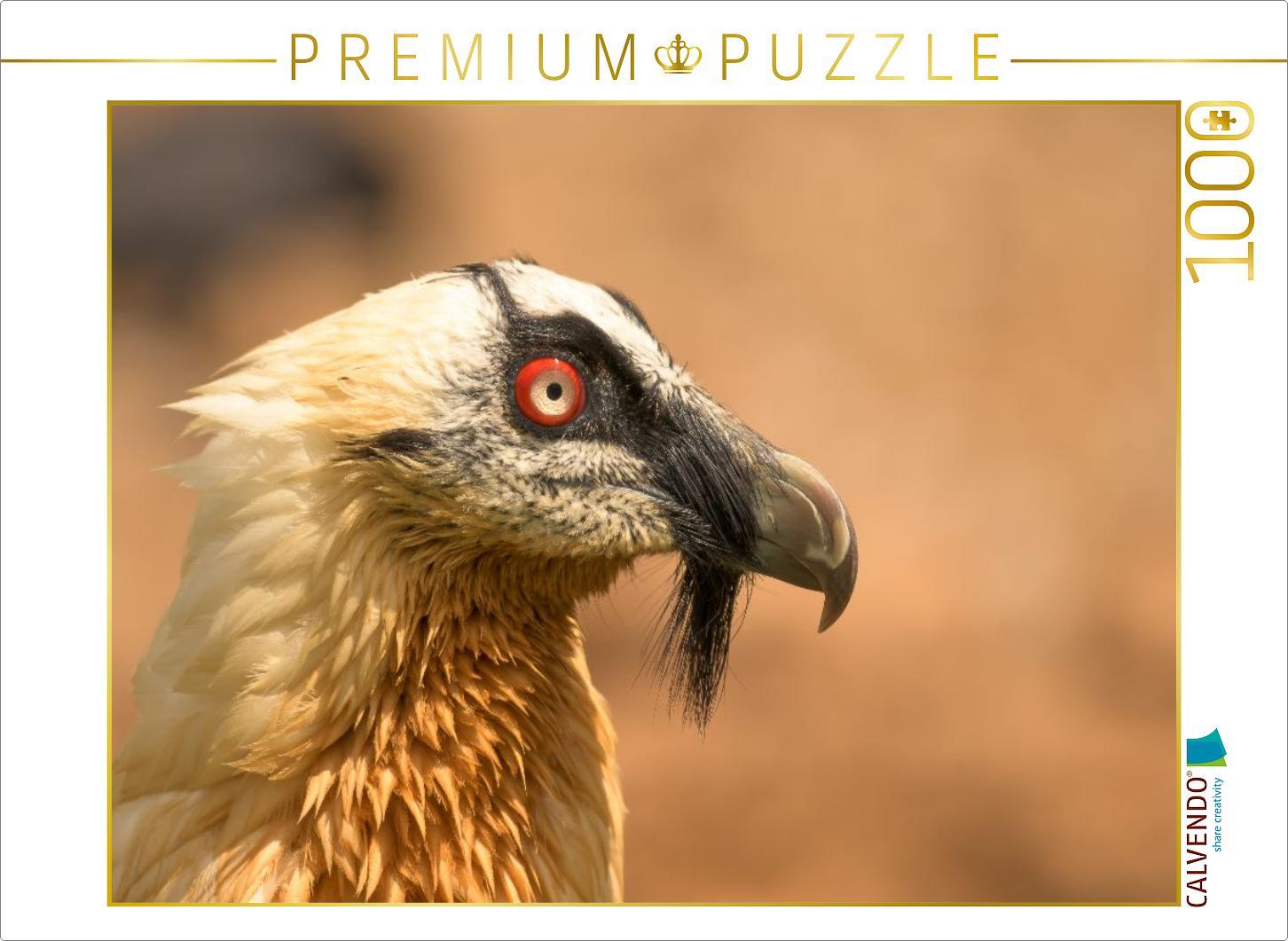 CALVENDO Puzzle Bartgeier im Porträt | 1000 Teile Lege-Größe 64x48cm Foto-Puzzle für glückliche Stunden