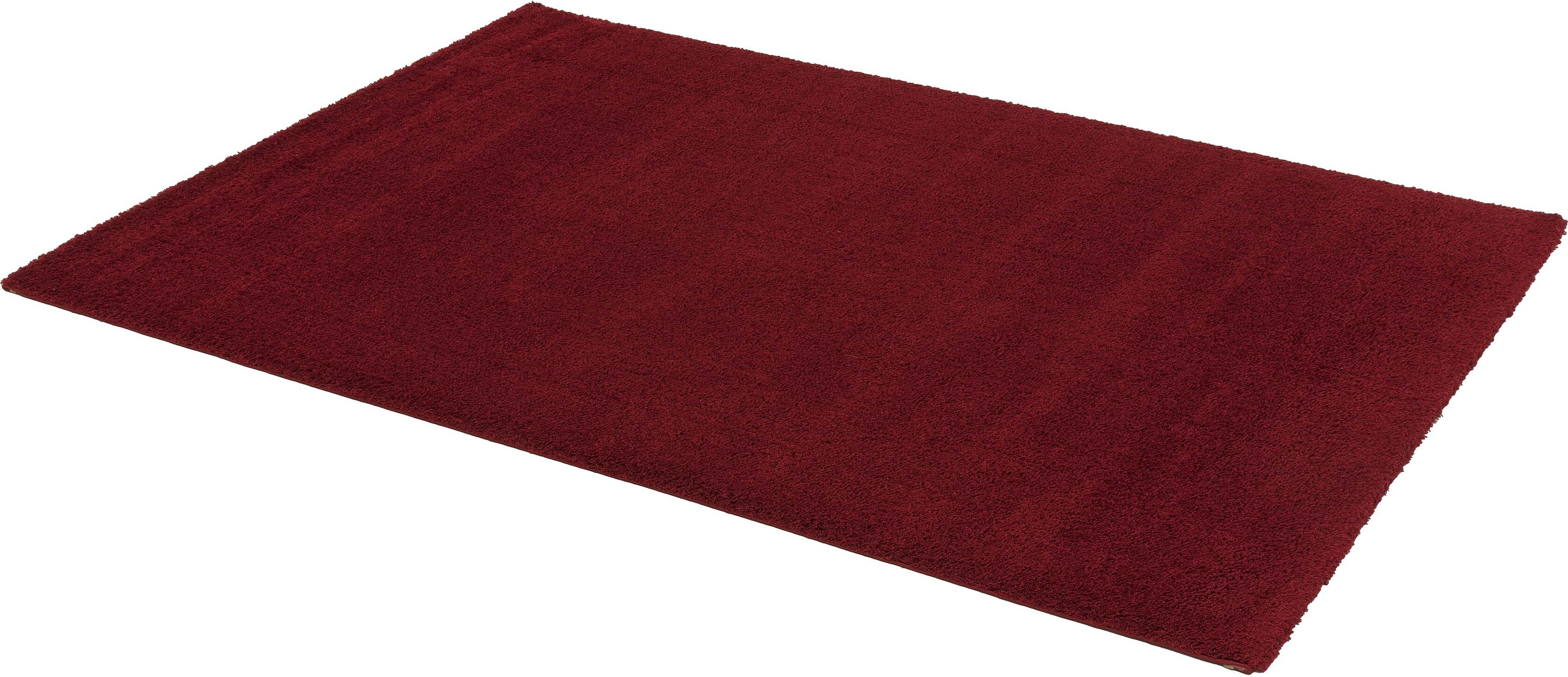 möbelando Teppich Jugendteppich Wohnzimmerteppich Modern Rivoli 200x290cm D.160 C.010 rot 650374