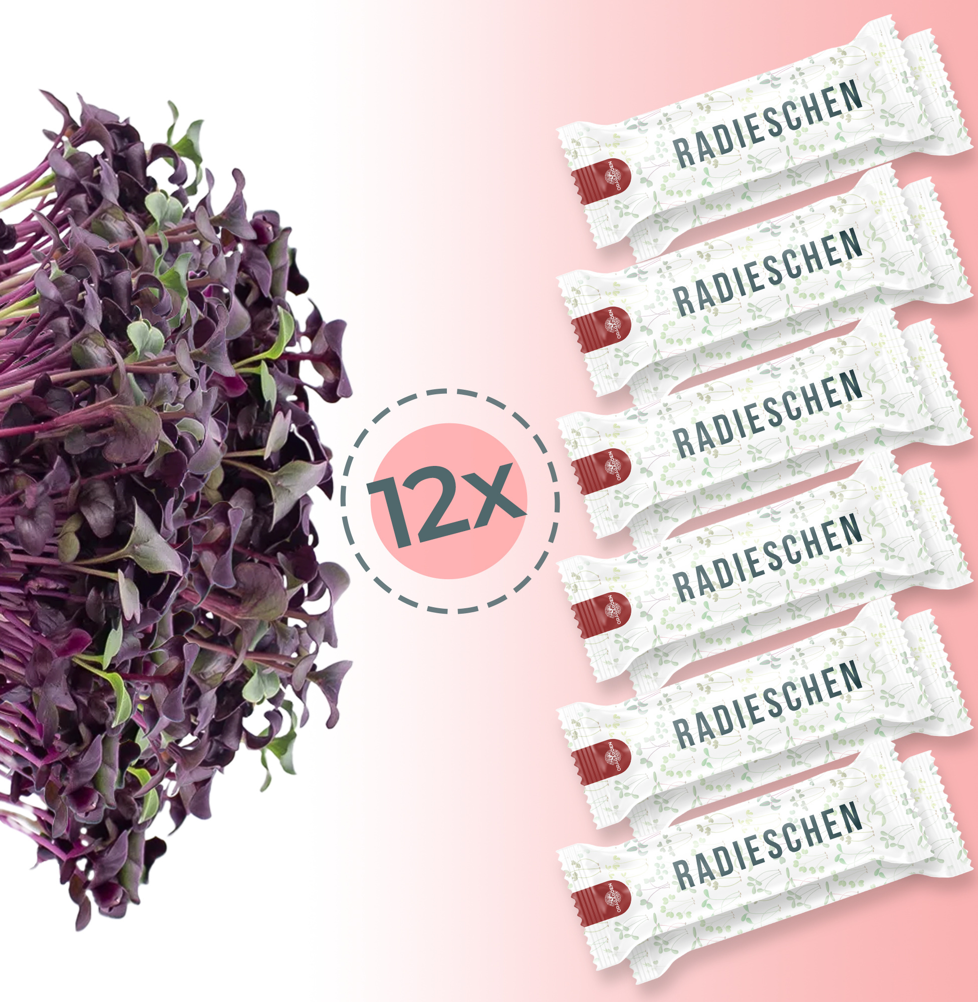 OraGardenKeimsaat Radieschen (Radieschen Samen) 12er-Pack (12 x 3g) OG388181