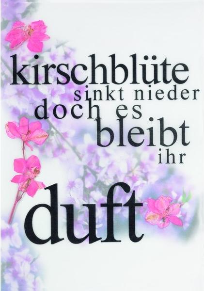 Räder Blumenpoesiekarte "Kirschblüte sinkt..."
