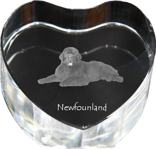 Neufundländer, Newfoundland - Hundebild im Kristall, Kristallherz, einzigartiger Bilderrahmen der Marke Art-Dog