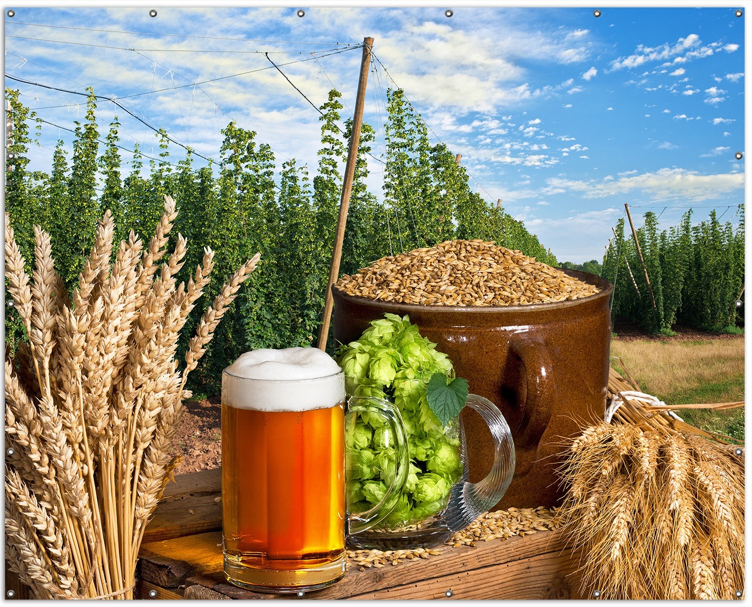 Wallario XXL Outdoor-Poster für Garten oder Balkon, Motiv Frisch gezapftes Bier, Hopfen und Malz, in ca. 250 x 200 cm goban5339-250200