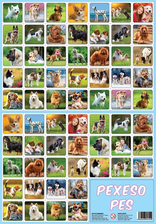 RAPPA Pexeso PES Brettspiel für Kinder mit 32 Paaren und Hundebildern
