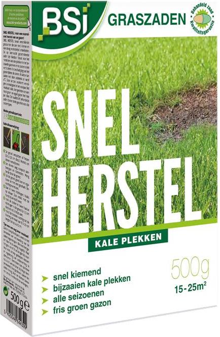 Bsi Grassamen, schnelle Erholung, 500 g SE-GAZ-01005