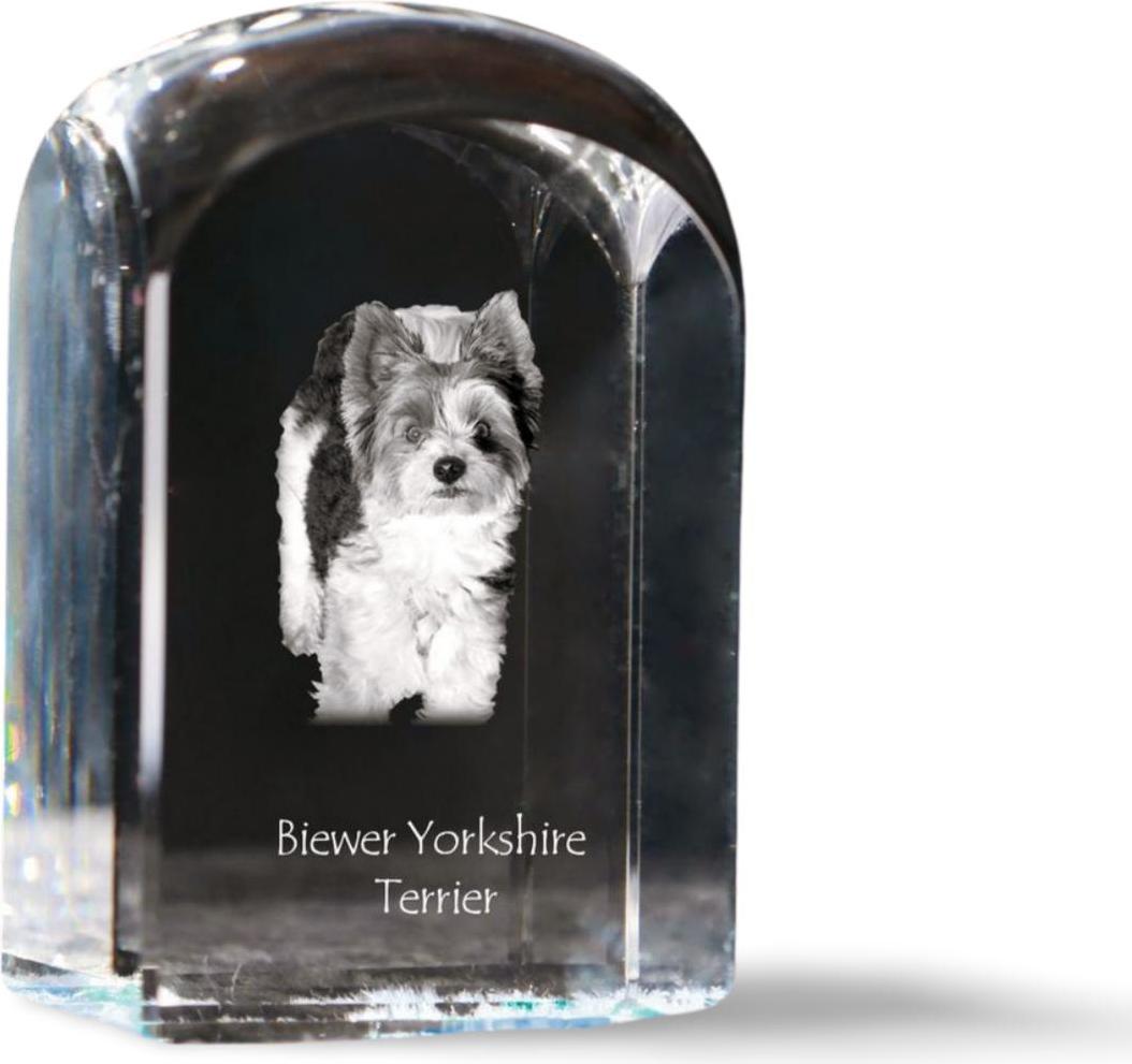 Biewer Terrier, Biewer Yorkshire Terrier - Kristallwürfel mit Bild, Hundebild im Kristall, sechseckiger Papierclip von Art-Dog.