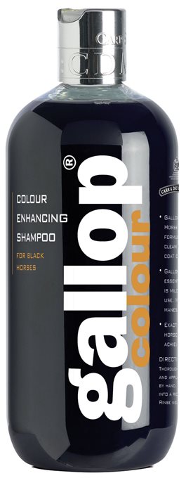 Carr & Day & Martin Gallop Farbglanz Shampoo Rappe CC018