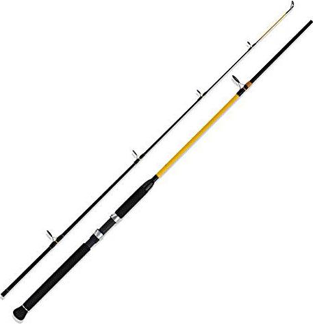 WFT Meeresrute Never Crack Big Fish Länge cm: 270 1D-B 458-272