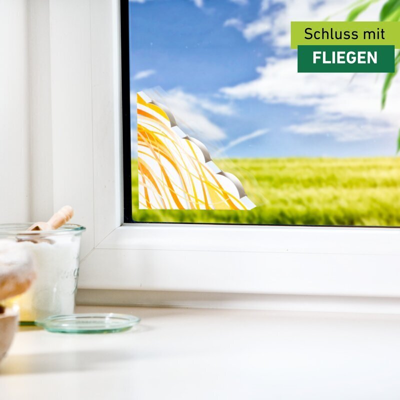 Windhager Fliegenfalle Fenster DISCREET