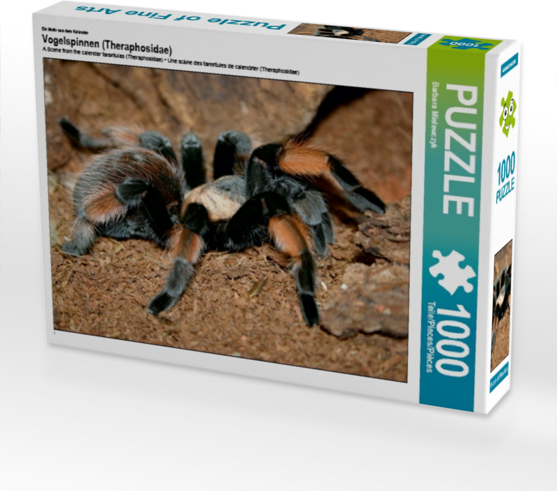 Calvendo Ein Motiv aus dem Kalender Vogelspinnen (Theraphosidae) 1000 Teile Puzzle quer 640x480mm, Mielewczyk Barbara; 7322143