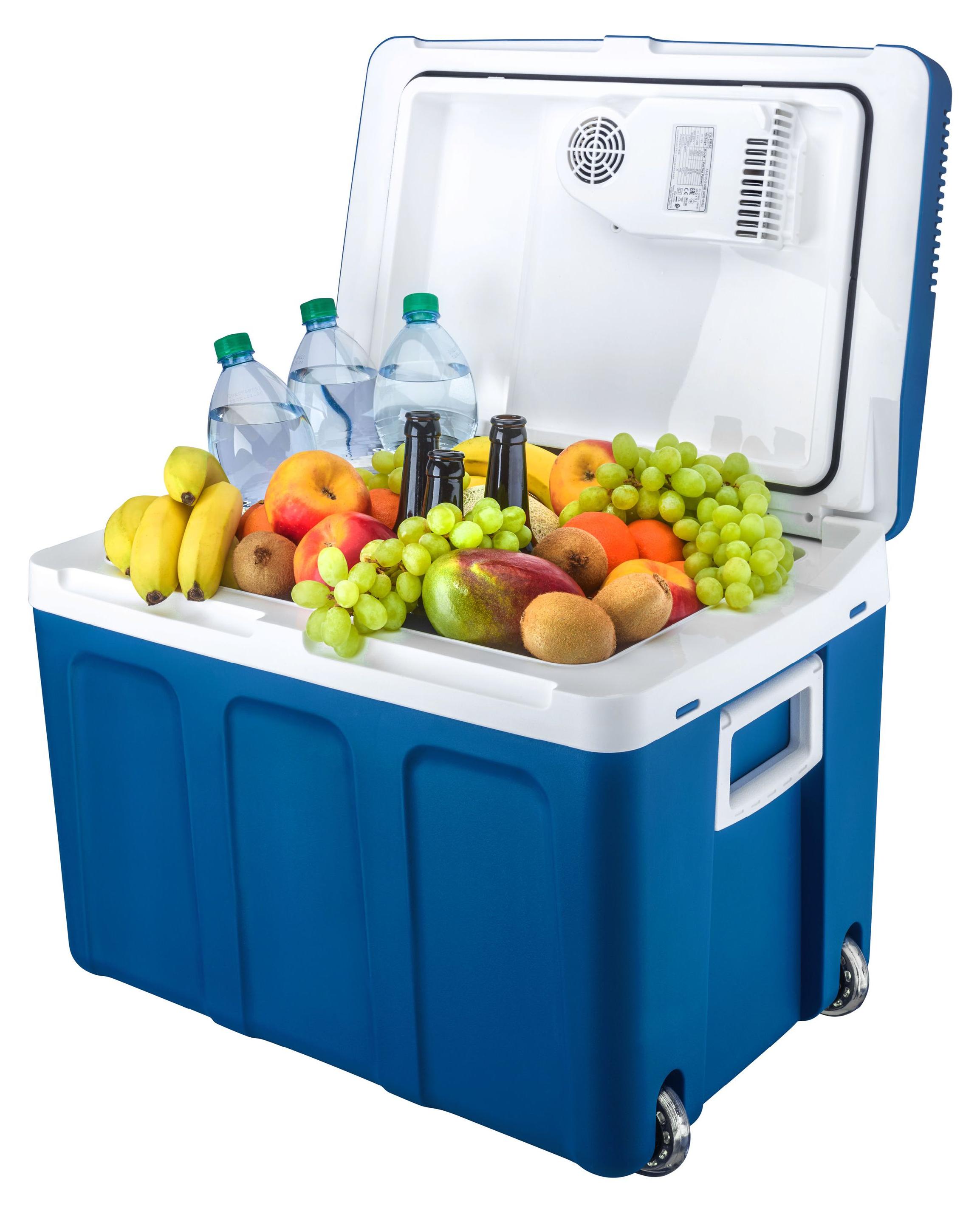 TZS First Austria - Kühlbox 45L elektrisch 12V 230V Anschluss für Auto & Steckdose - Thermoelektrisch - Blau