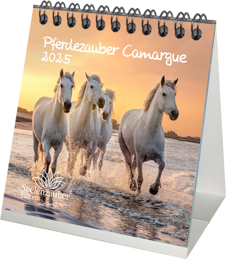 Seelenzauber Tschkalender Pferdezauber DELUXE Kalender Für 2025 Format 10cm X 10cm Pferde