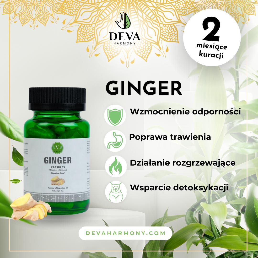 GBB Ingwer - Immunität - 60 Kapseln | Vanan