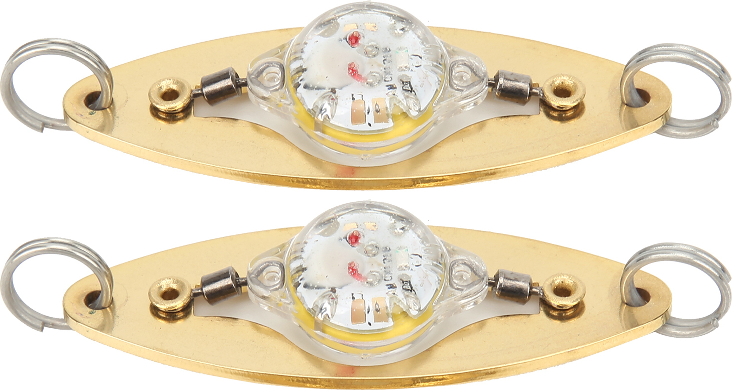 Cocosity Augenform Angelköder,Unterwasser Angelköder,LED Angelköder,Angelköder Licht,LED Deep Drop Köder,Angelgerät Zubehör