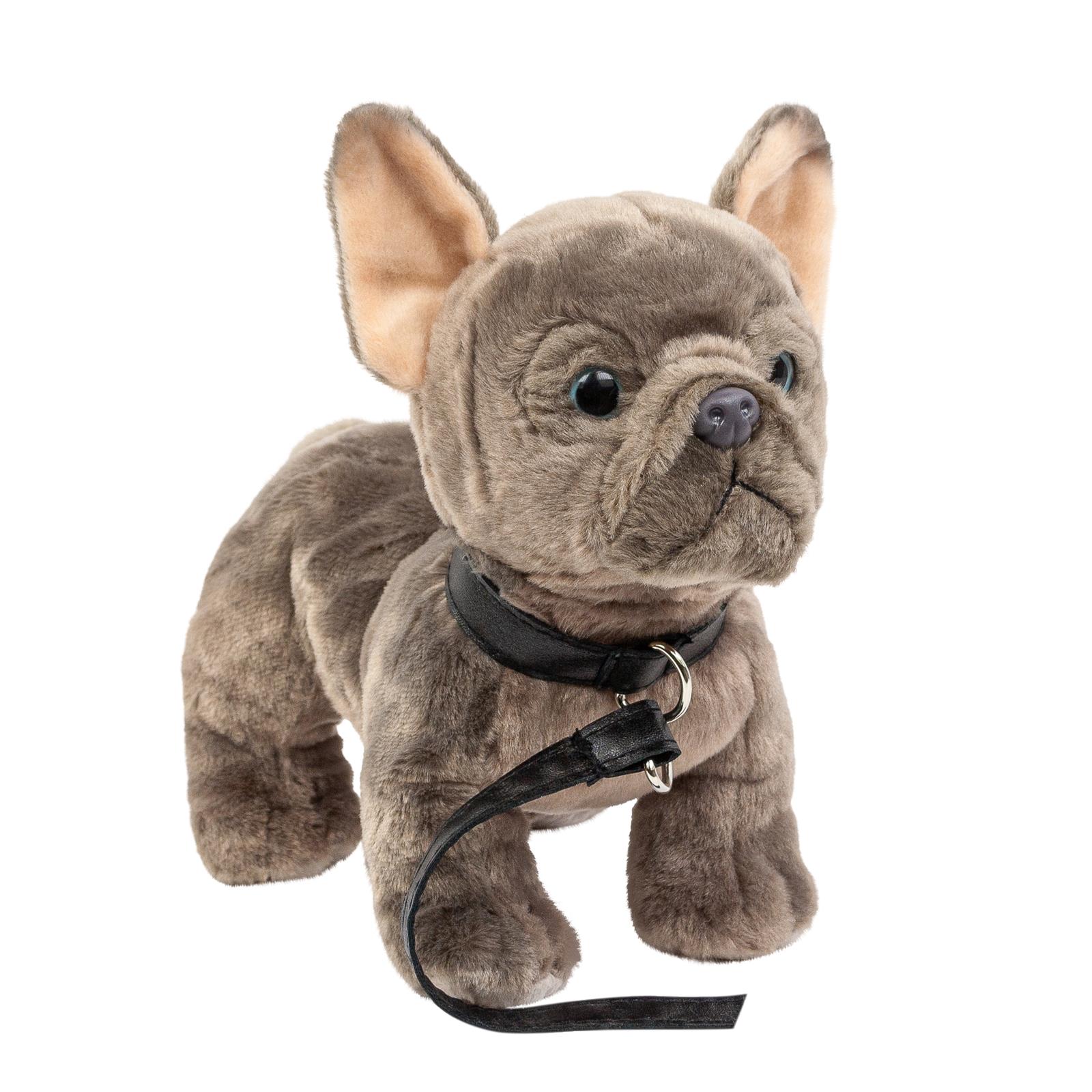 spielzeug für französische bulldogge spielzeug für französische bulldogge