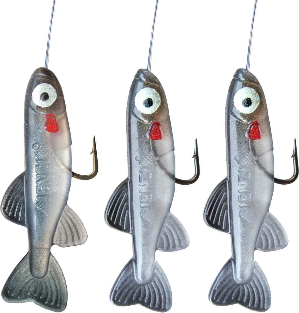 Jenzi Hegene mit Fishli´s Farbe O JE-57XX-004