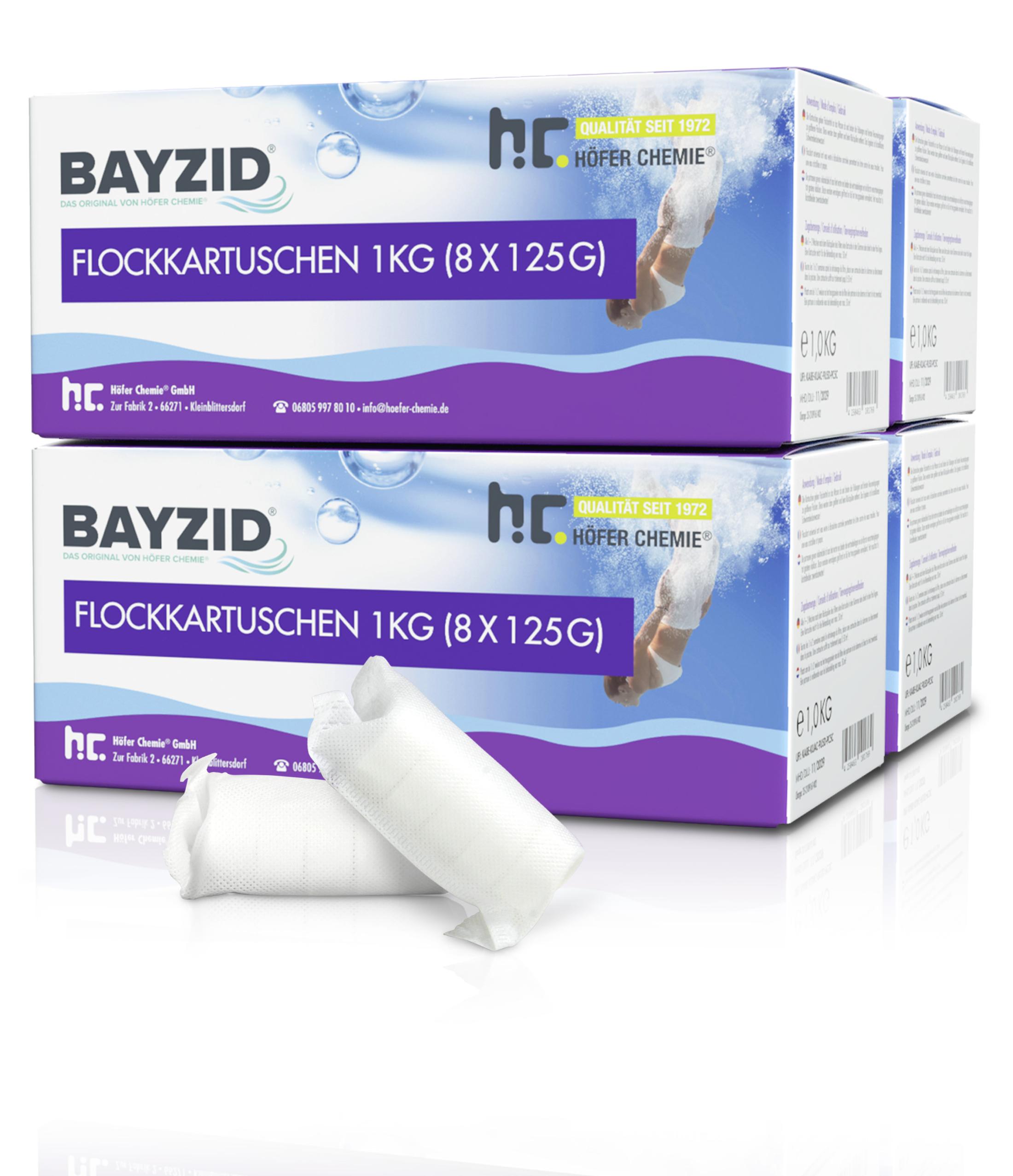 Höfer Chemie 4x1 kg BAYZID® Flockkartusche für Pools filtert Verunreinigungen raus