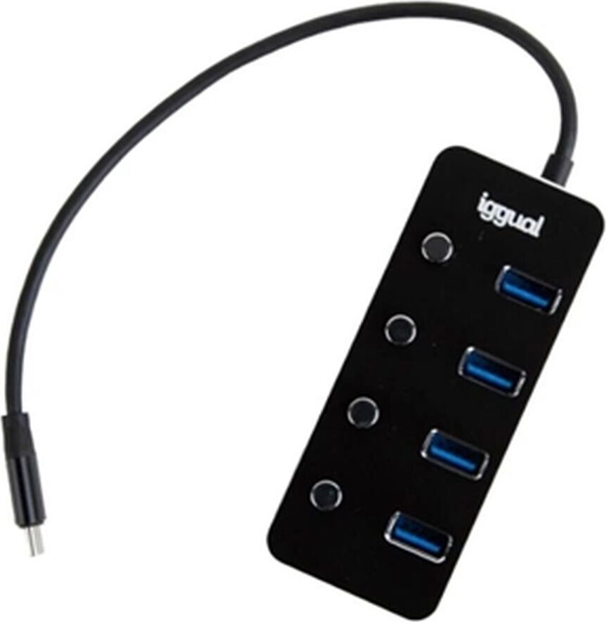 IGG318485 iggual USB hub