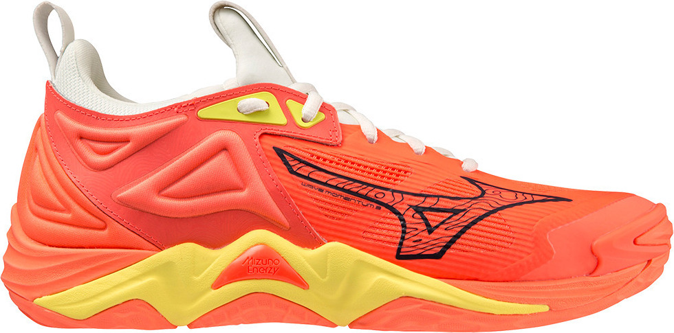Hallenschuhe Mizuno Wave Momentum 3 V1GA231202