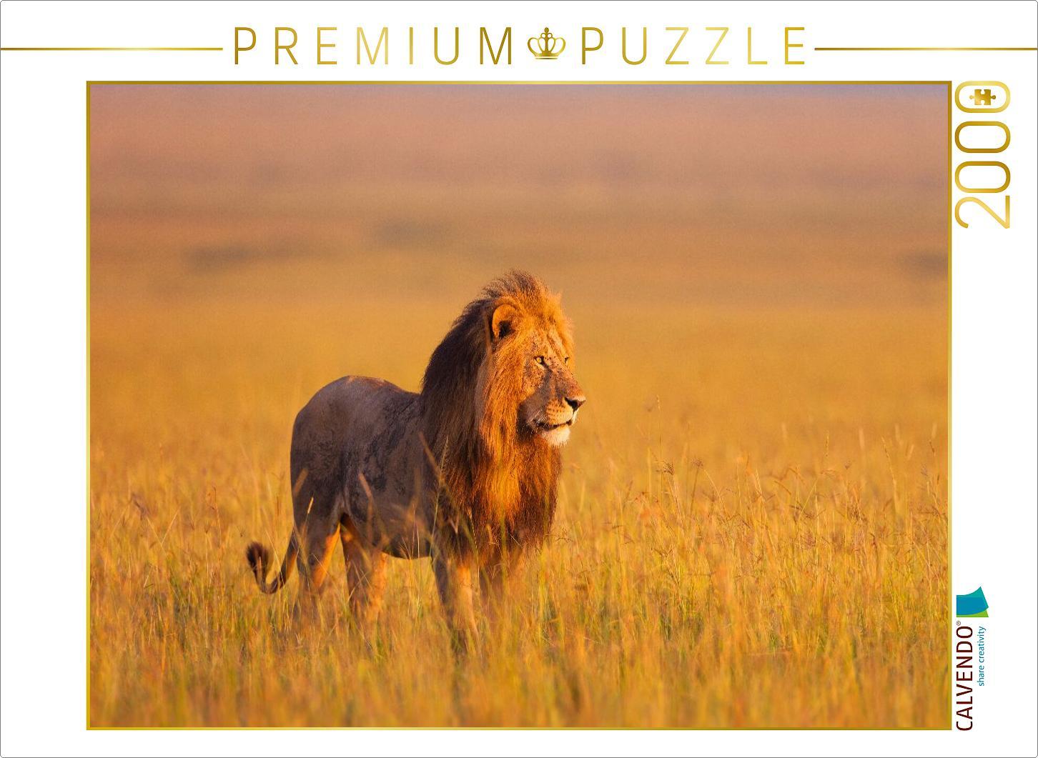 CALVENDO Puzzle Afrikanischer Löwe, Masai Mara, Kenia. | 2000 Teile Lege-Größe 90 × 67 cm Foto-Puzzle für glückliche Stunden