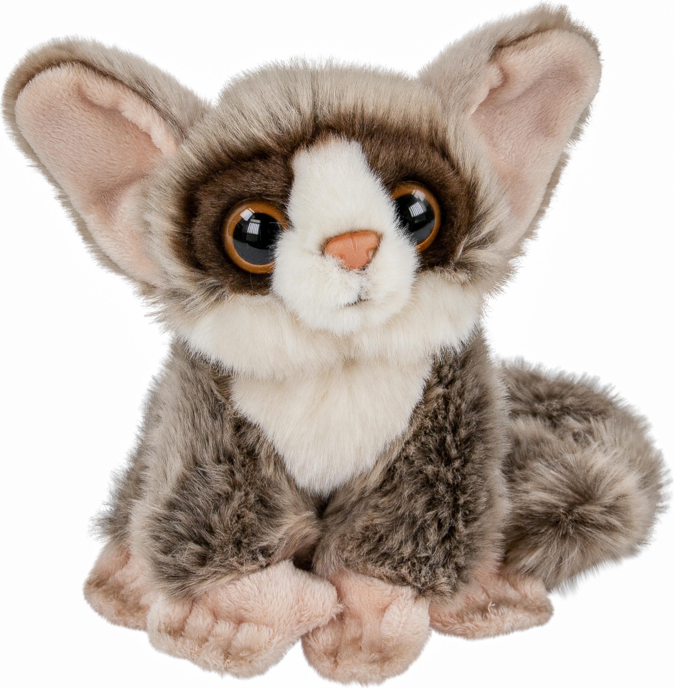 Teddys Rothenburg Kuscheltier Galagos Buschbaby grau 18 cm Plüschgalagos 241237