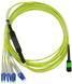 BlueOptics CBL-0206-10-BO, 10 m, LC/APC, G.657.A1, MTP, 4x LC