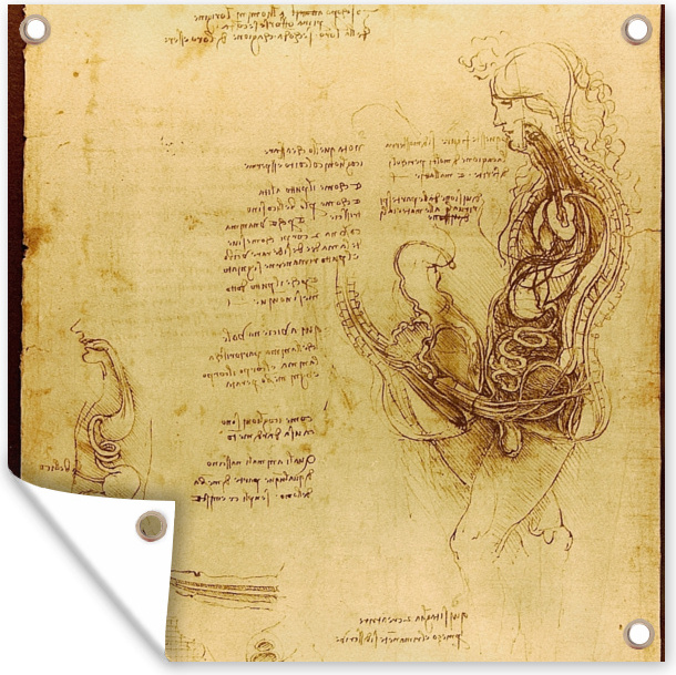 MuchoWow® 100x100 cm Outdoor-Poster Gartendeko Sichtschutz Garten Poster für den Garten Die menschliche Fortpflanzung - Leonardo da Vinci 133|313186296