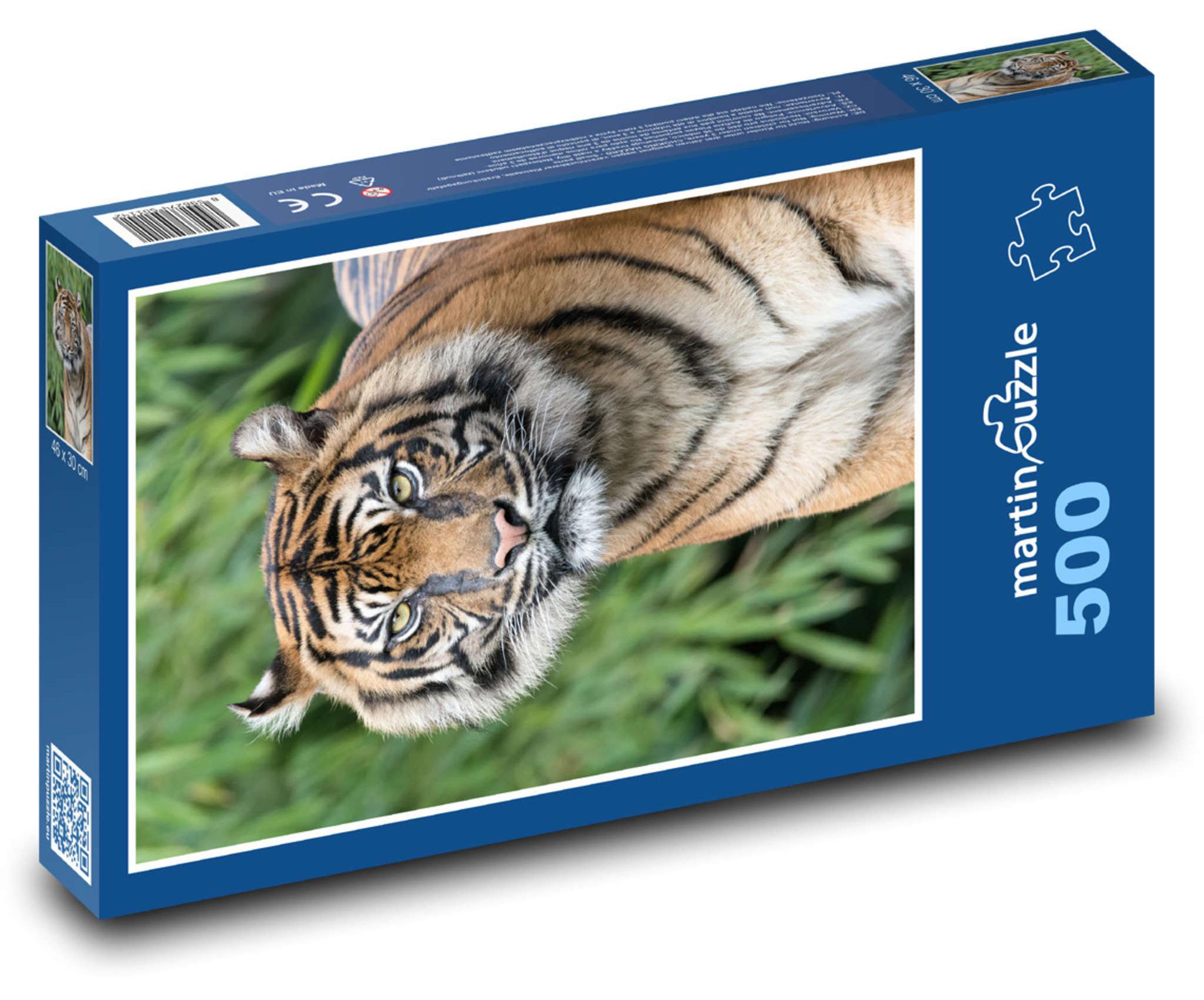 MCprint martinpuzzle - Puzzle 500 Teile - Neugieriger Tiger im Gras