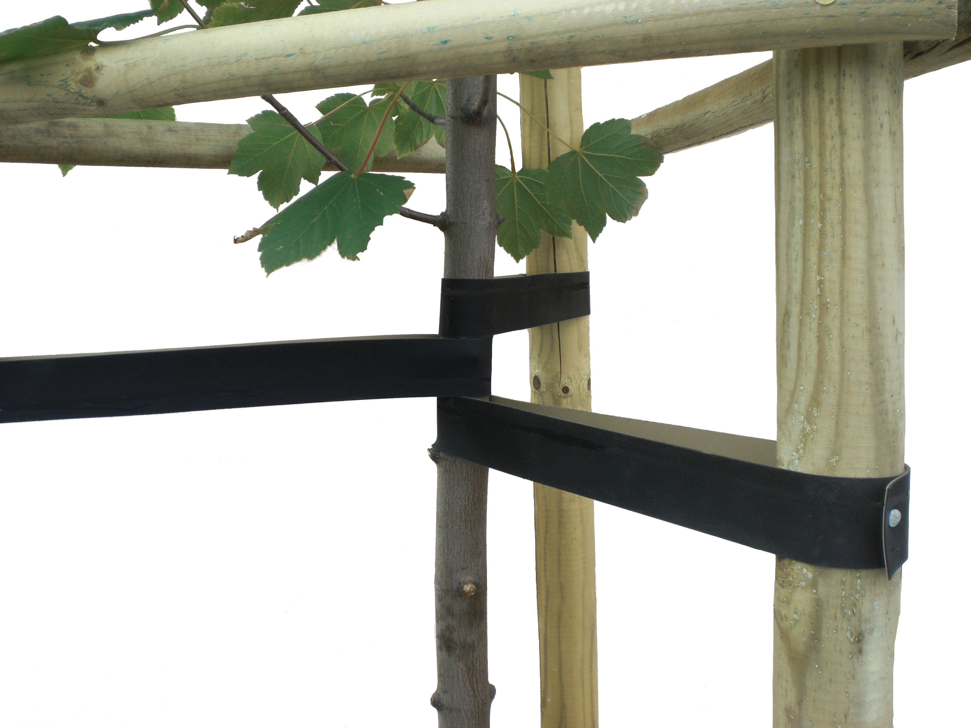 Joma-Tech GmbH Hebo Baumgurte aus EPDM-Gummi / Baumbänder / Baumband / Baumbinder