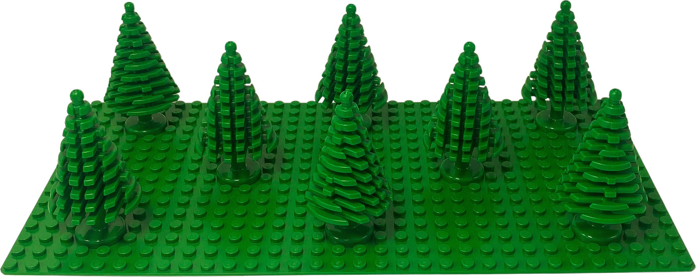großer Baum, Fichte grün