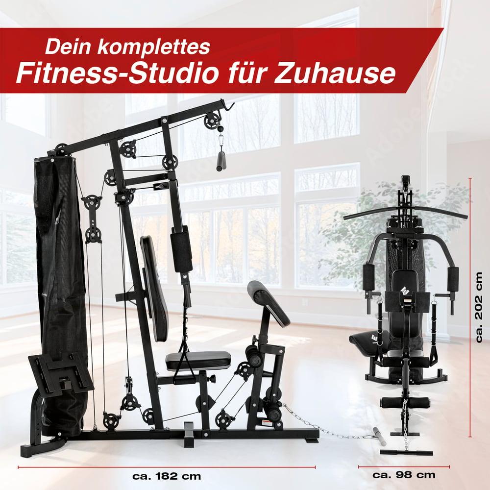 DS Produkte FitEngine Kraftstation Trainingsbank Heimtrainer multifunktion Fitnessstation Gym Hantelbank Fitnesscenter Metall Gewichte Homegym Klimmzugstange dips 03995