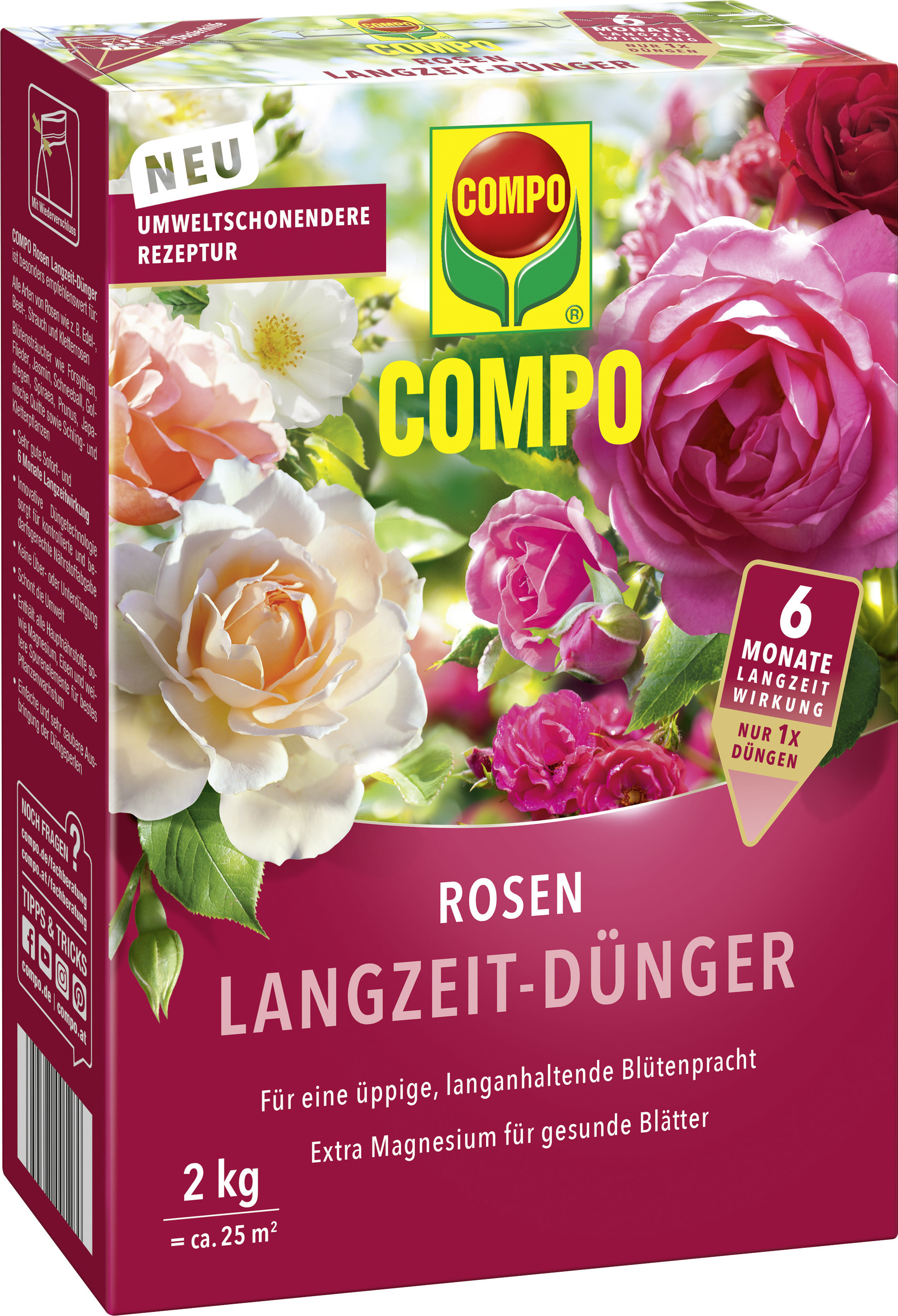syngonium düngen Syngonium Panda main image 0