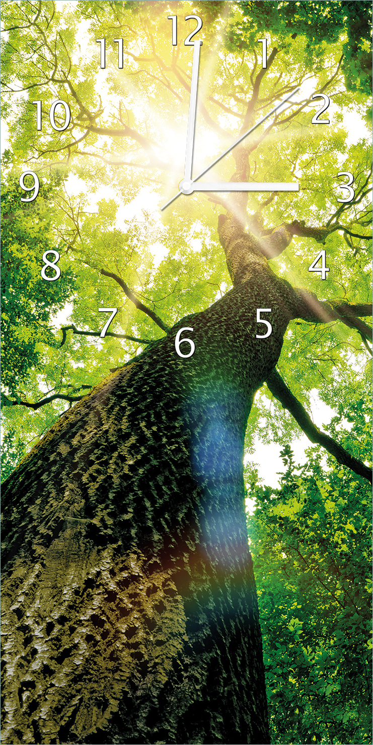 Wallario Design Wanduhr bedruckt, Größe 30 x 60 cm, Motiv: Laubbaum aus der Froschperspektive uag0259-3060