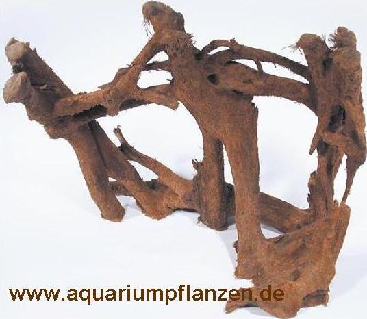 Mühlan Wasserpflanzen 3 Mangrovenwurzeln je 20-25 cm, Wurzel, Mangrove N-1013
