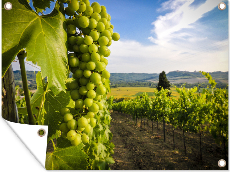 MuchoWow® 80x60 cm Outdoor-Poster Gartendeko Sichtschutz Garten Poster für den Garten Weinberg mit Bergkette 133|17171251