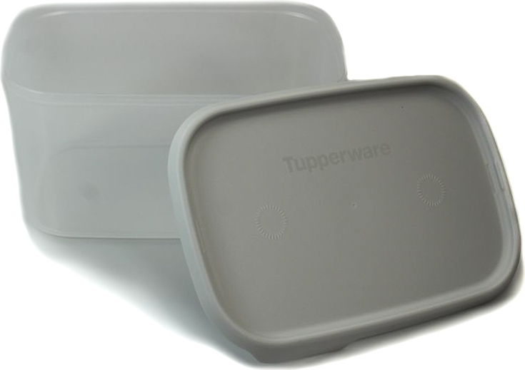 TUPPERWARE One Touch Fresh 2,85 L grau Vorratsdose Vorrat Dose Eidgenosse