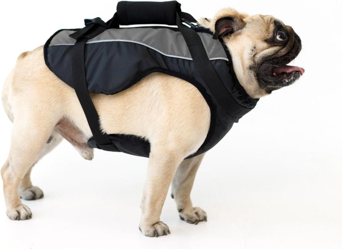 AVA DOGGY Schwimmweste Hund Hundeschwimmweste XL Grau
