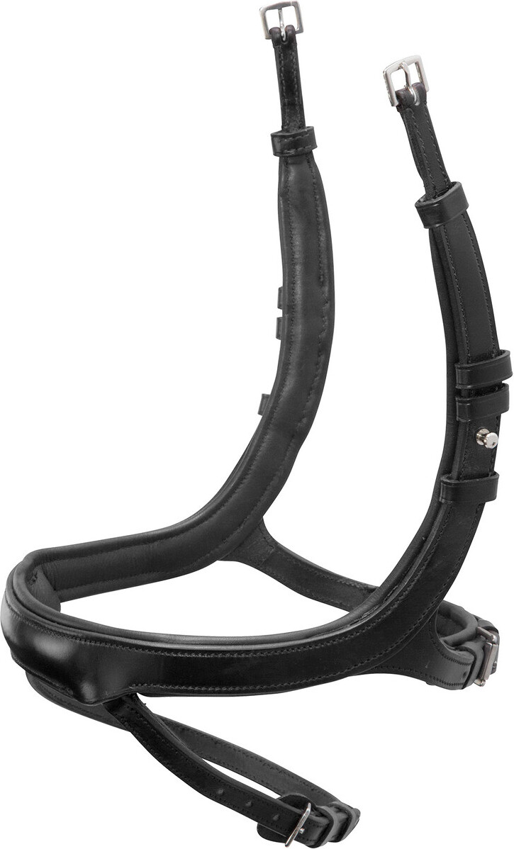 Schockemöhle Sports Schockemöhle Reithalfter SP Equitus Alpha, Farbe:schwarz, Größe:Vollblut SML-1340-00070.1