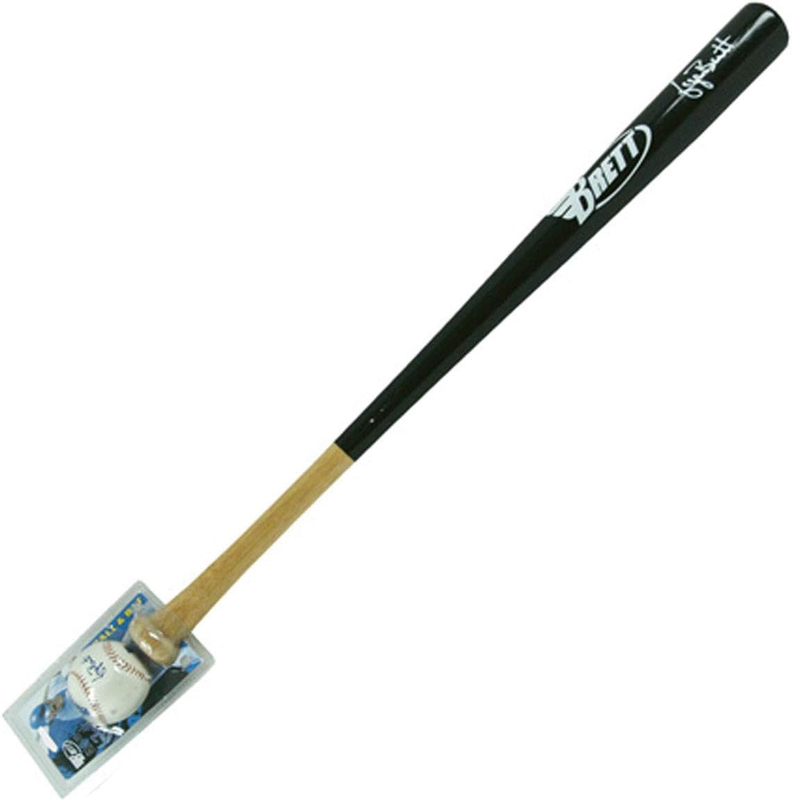 Batte De Softball Senior Short Porch 26 Oz - Barrel Court 12" équilibré, Renforcé Kevlar | Matériel Sportif Occasion