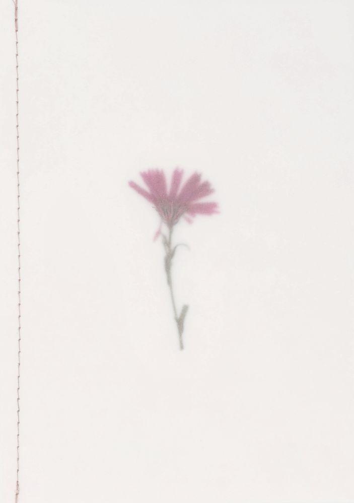 räder Genähte Transparentpapierkarte "Blume" 18248