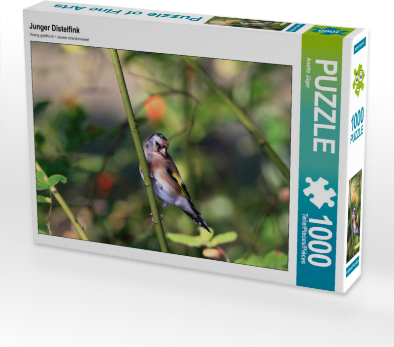 CALVENDO Puzzle Junger Distelfink 1000 Teile Puzzle quer | 1000 Teile Lege-Größe 64x48cm Foto-Puzzle für glückliche Stunden
