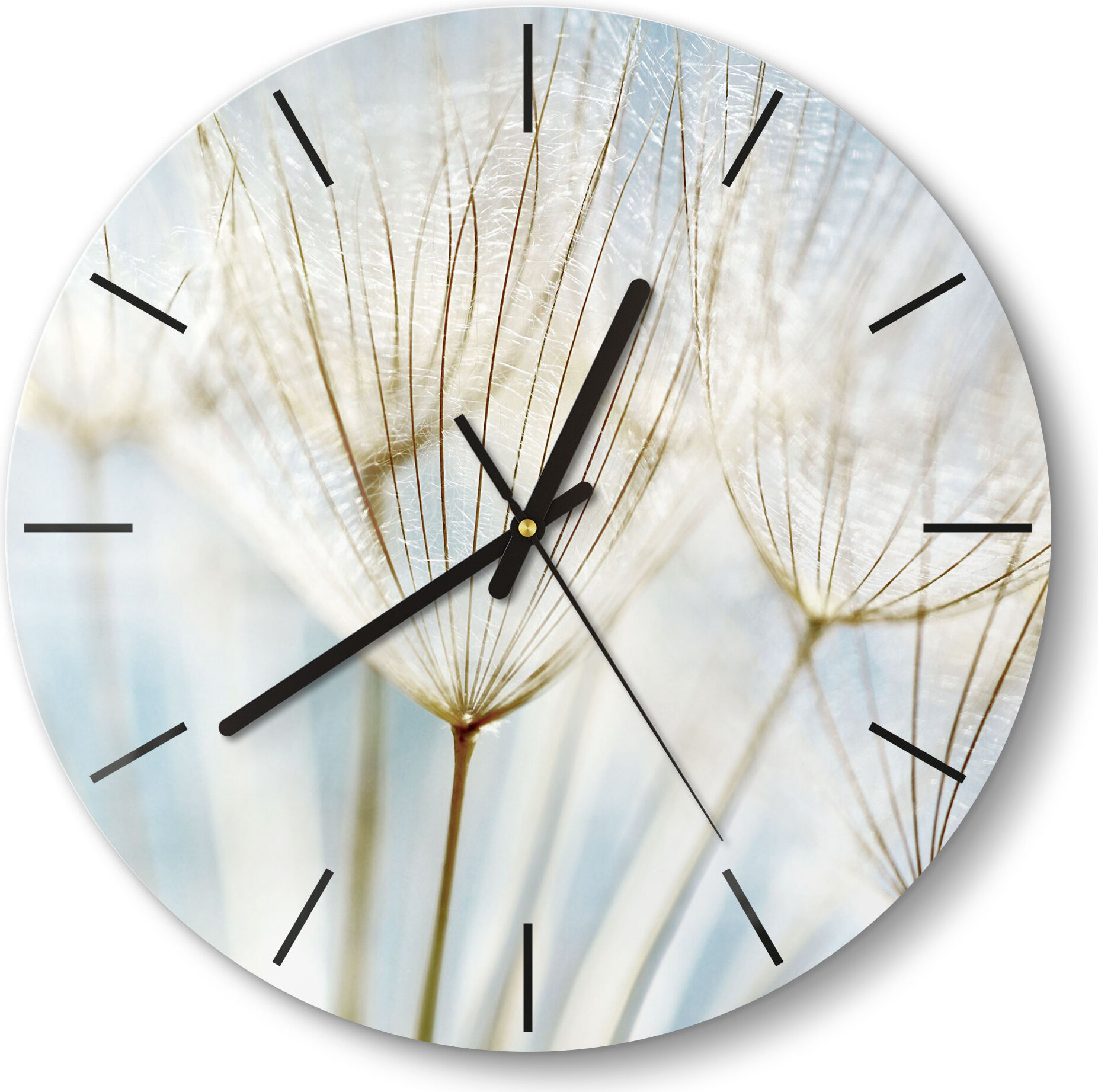 DEQORI Glasuhr Ø30 cm Modern 'Löwenzahnsamen nah' Wanduhr Glas Uhr Design leise WC-D30-M-2447