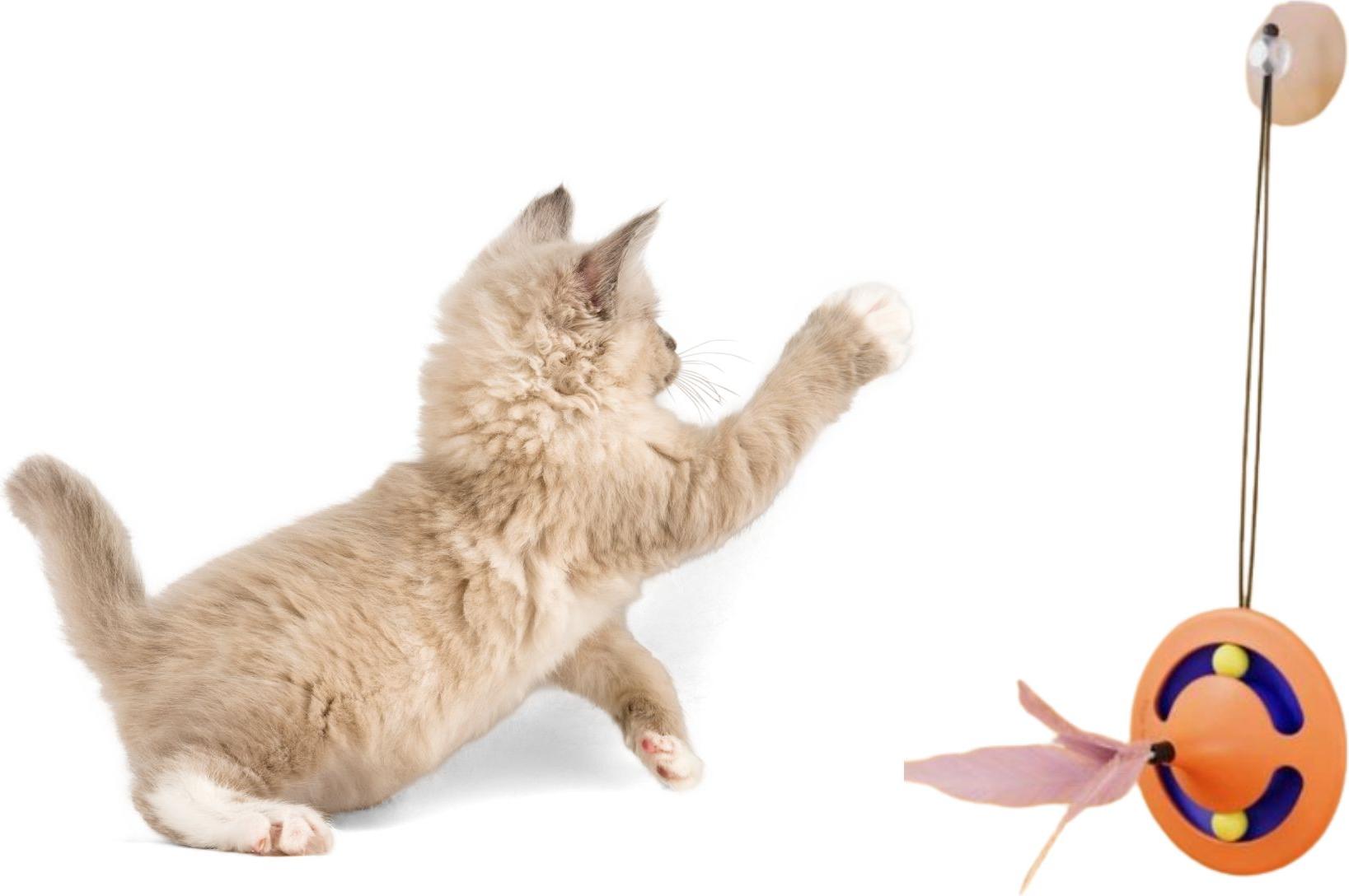 JDS Katzenspielzeug - orange