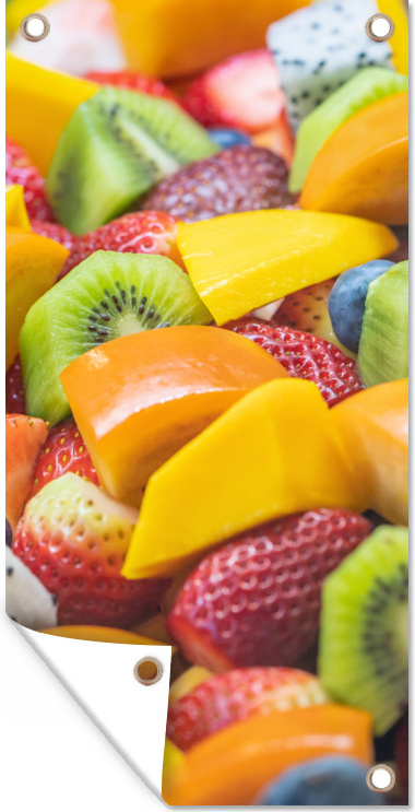 MuchoWow® 30x60 cm Outdoor-Poster Gartendeko Sichtschutz Garten Poster für den Garten Obst - Salat - Farben 133|322736560