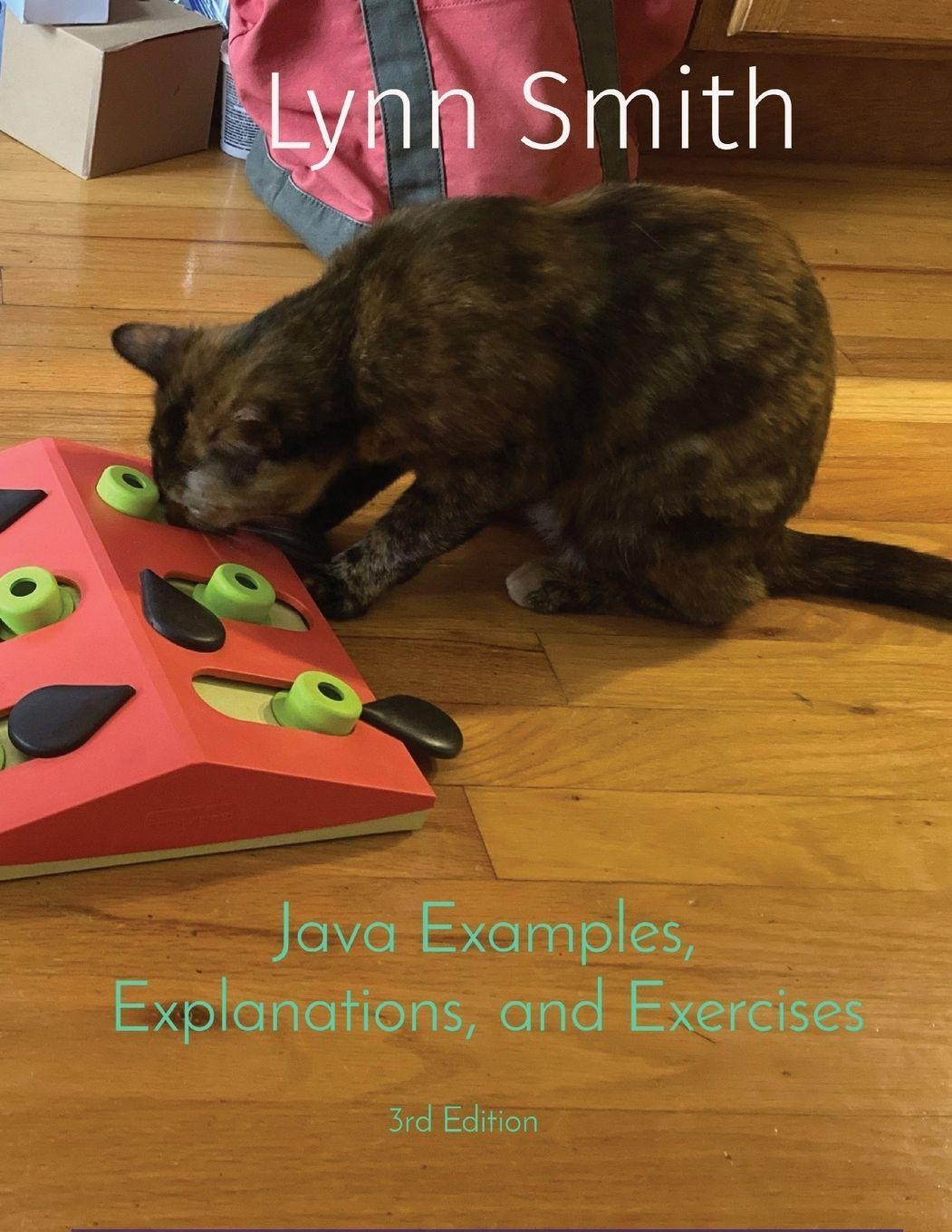 Sonstige Verlage Java Examples, Explanations, and Exercises Third Edition