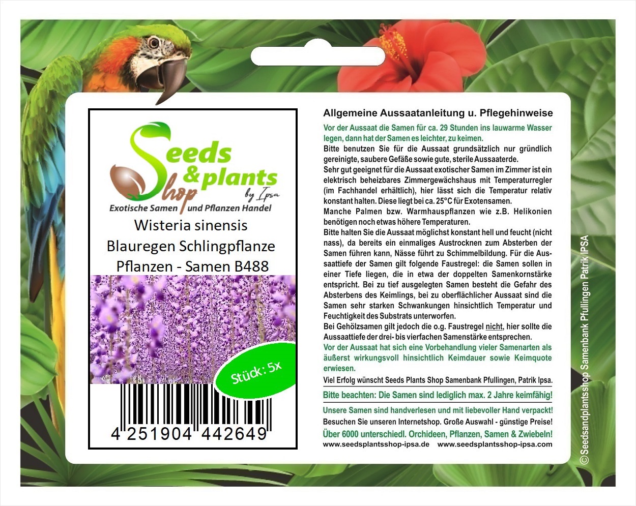 10 X Blauregen Wisteria Sinensis Samen Blume Saatgut Kletterpflanze Samen 