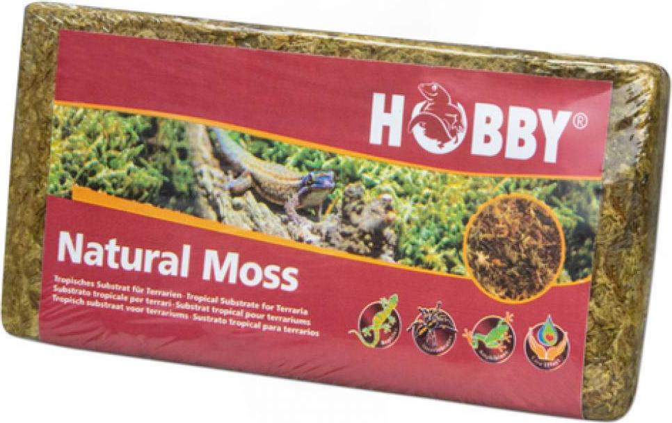 HOBBY Terraristik Natural Moss, 100g, tropisches Substrat für Terrarien und Orchideen, 100% natürlich