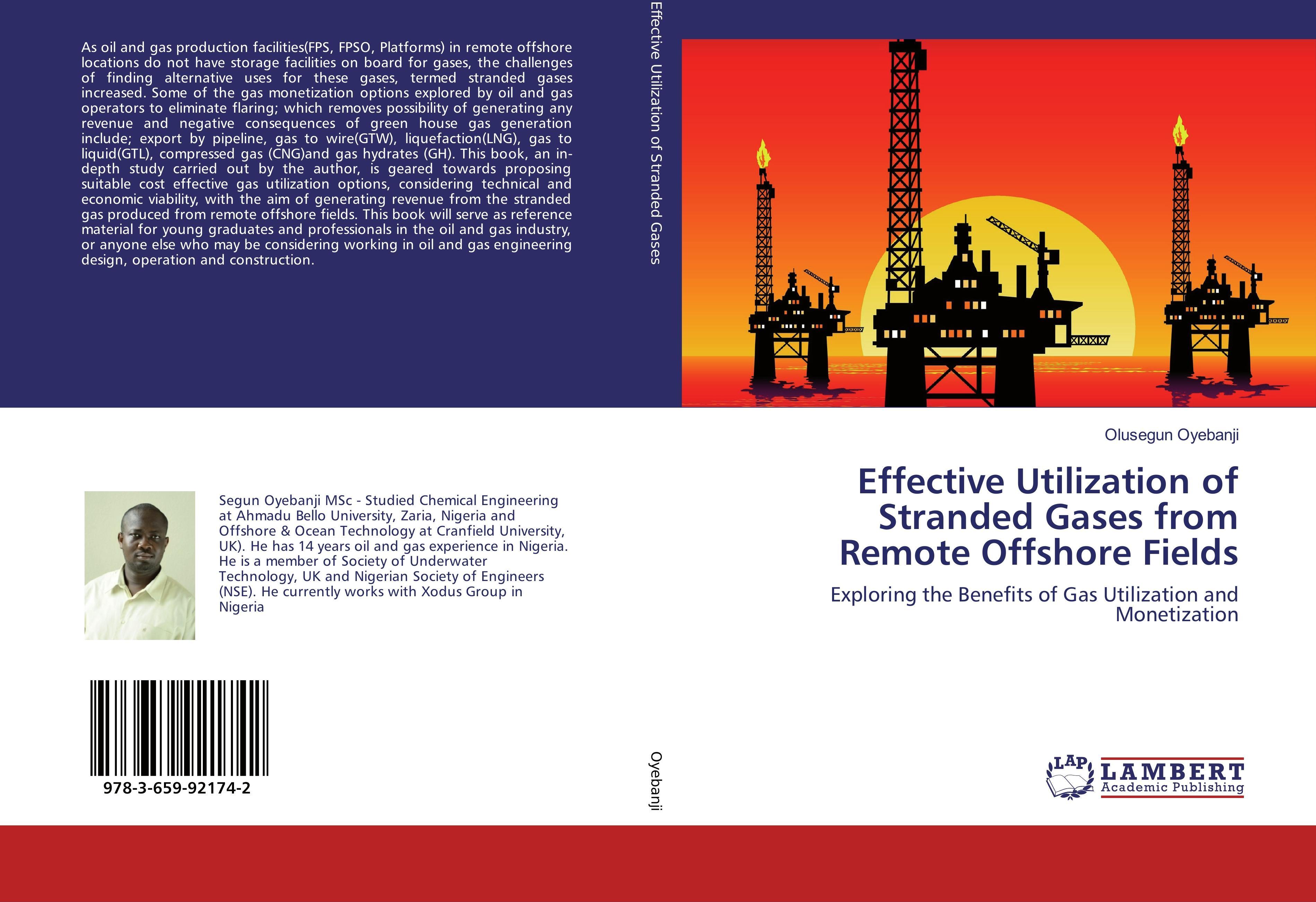 Sonstige Verlage Effective Utilization of Stranded Gases from Remote Offshore Fields