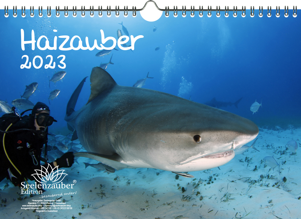 Seelenzauber GmbH Haizauber DIN A4 Kalender für 2023 Hai - Seelenzauber