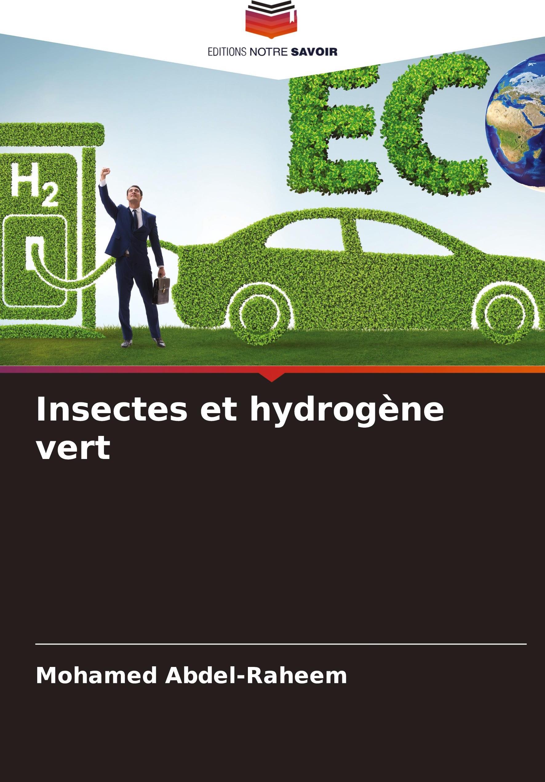 Sonstige Verlage Insectes et hydrogène vert