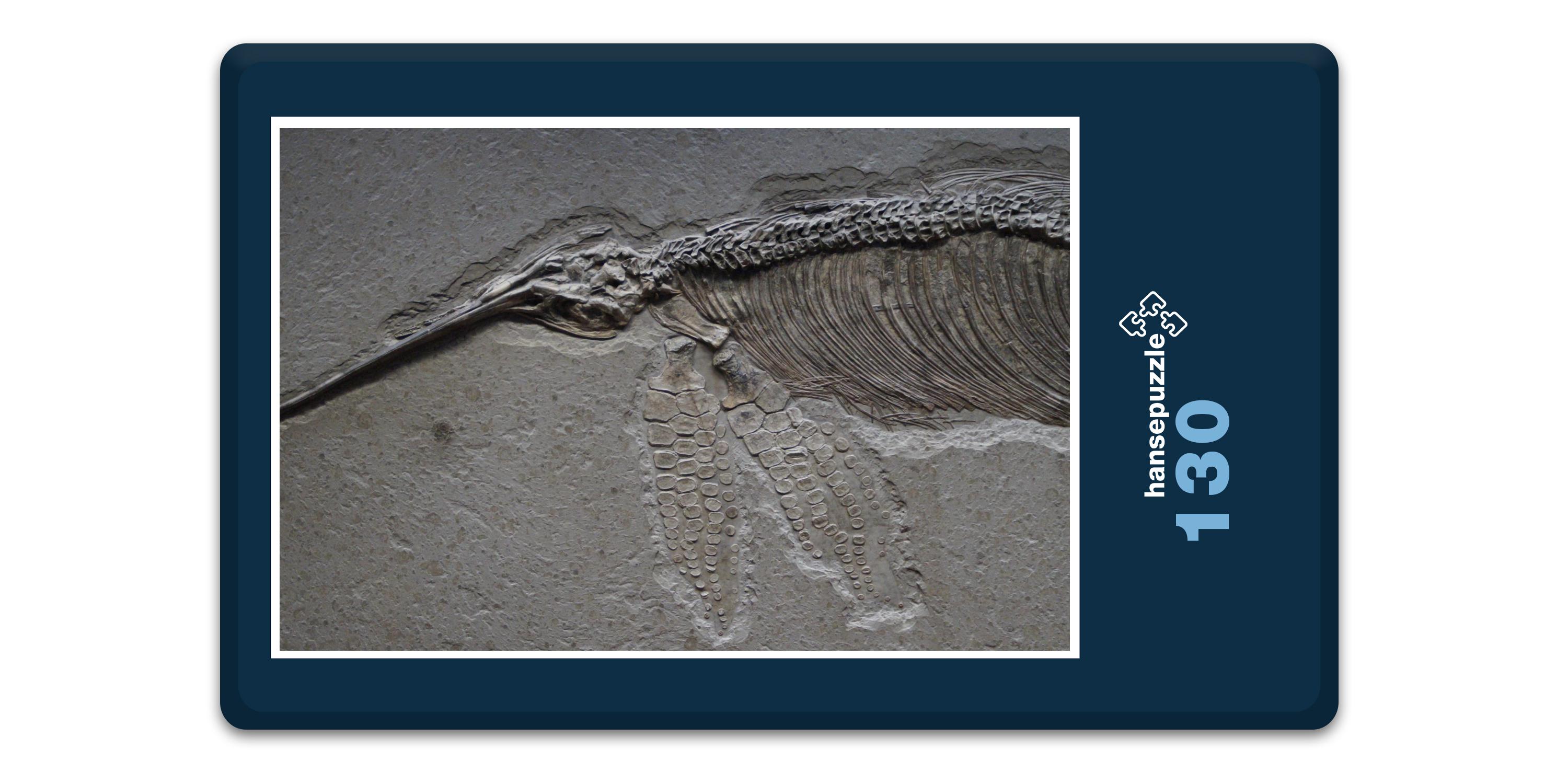 hansepuzzle 18550 - Versteinerung Puzzle, 130 Teile, Orte, 28,7 x 20,0cm mit hochwertiger Aufbewahrung, Kartonbox und wiederverschließbarem Beutel